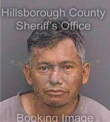 Tovarsalinas Humberto - Hillsborough County, FL 