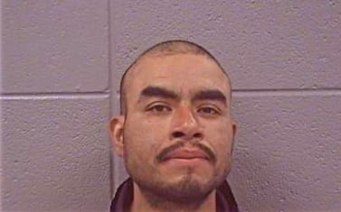 Hernandez Julio - Cook County, IL 