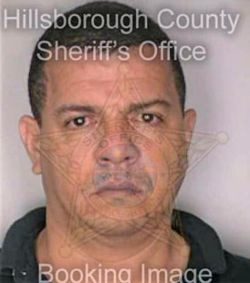 Gomez Luis - Hillsborough County, FL 