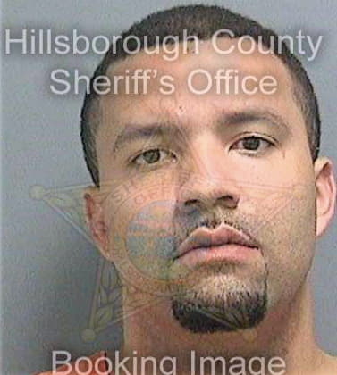 Salley Ryan - Hillsborough County, FL 