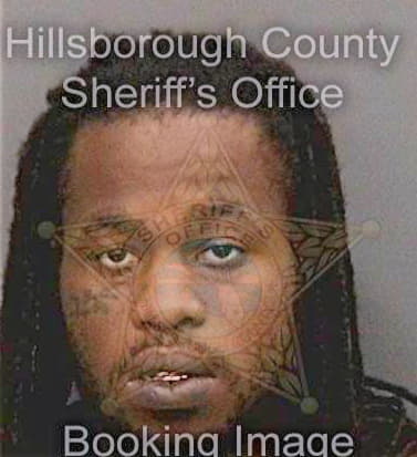 Mcneal Deandre - Hillsborough County, FL 