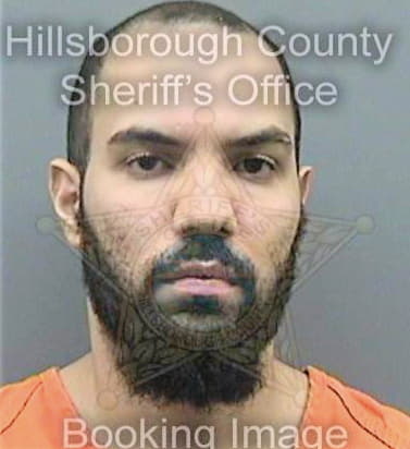 Torres Gamadiel - Hillsborough County, FL 