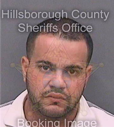 Ojeda Hector - Hillsborough County, FL 