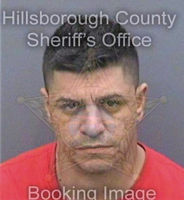 Vasquez Pedro - Hillsborough County, FL 