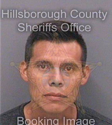Silvaocampo Luis - Hillsborough County, FL 