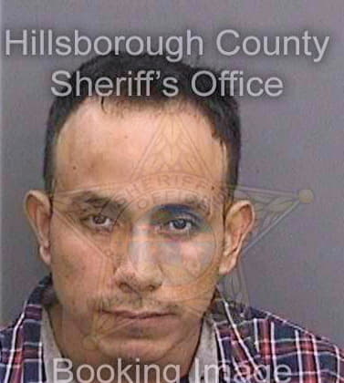 Diaz Filimon - Hillsborough County, FL 