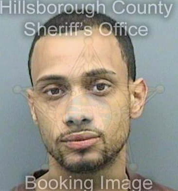 Frias Jonathan - Hillsborough County, FL 