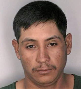 Vasquez Rosario - Hillsborough County, FL 