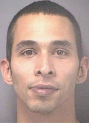 Gonzalez Juan - Hillsborough County, FL 