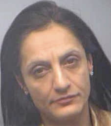 Mesghali Parvin - Fulton County, GA 