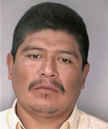 Mendez Mardonio - Hillsborough County, FL 