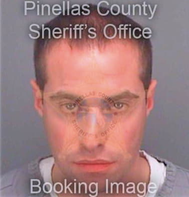 Arcuri Michael - Pinellas County, FL 