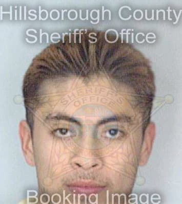 Medina Felix - Hillsborough County, FL 