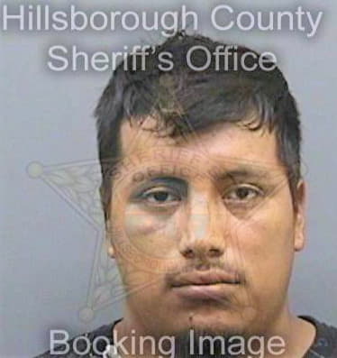 Fuentessoto Avilio - Hillsborough County, FL 