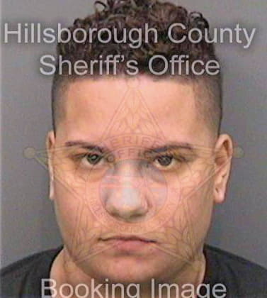 Philippus Stephanie - Hillsborough County, FL 