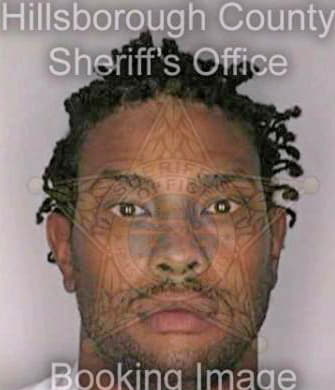 Mcfadden Albert - Hillsborough County, FL 