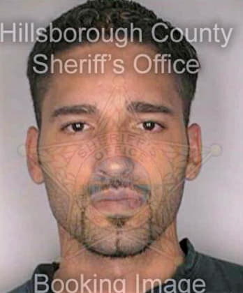 Santiago Juan - Hillsborough County, FL 