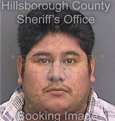 Lopezmeza Victor - Hillsborough County, FL 