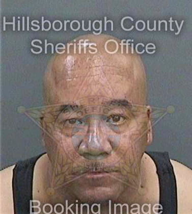 Grear William - Hillsborough County, FL 