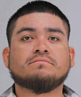 Ricoperez Agustin - Dallas County, TX 