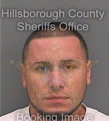 Rodriguezestrada Bryan - Hillsborough County, FL 
