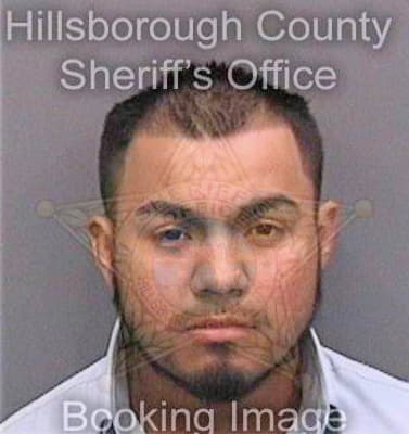 Nava Sergio - Hillsborough County, FL 
