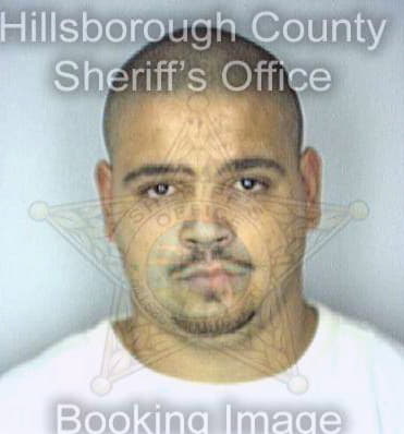 Hernandez Alexis - Hillsborough County, FL 