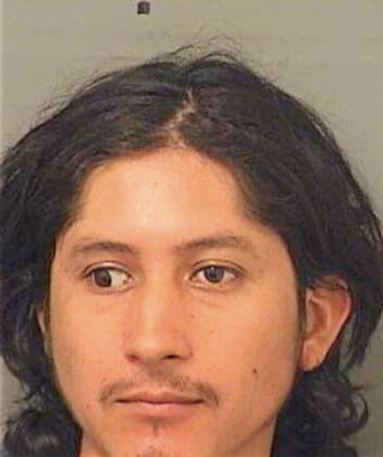 Leybergulberto Gabrielbriones - PalmBeach County, FL 