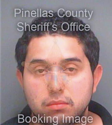 Lopez Luis - Pinellas County, FL 