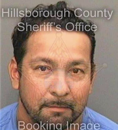 Cruzcano Carlos - Hillsborough County, FL 