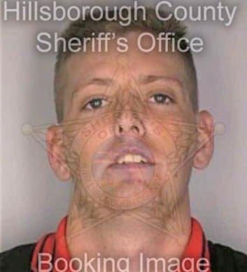 Hemminger Raymond - Hillsborough County, FL 
