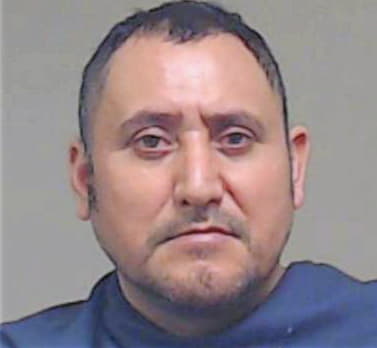 Medina Tomas - Collin County, TX 