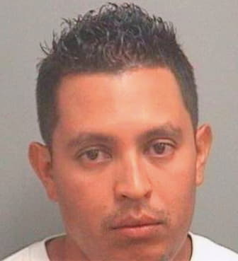 Deleon Carlos - PalmBeach County, FL 