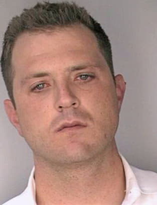 Derosa David - Hillsborough County, FL 