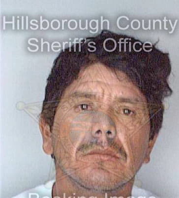 Rodriguezvalle Eraclio - Hillsborough County, FL 