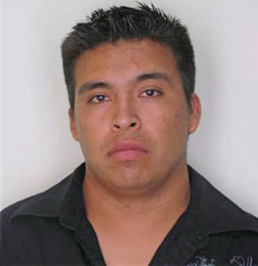 Hernandez Alejandro - Hillsborough County, FL 