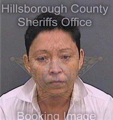 Melendezcastro Solsiare - Hillsborough County, FL 