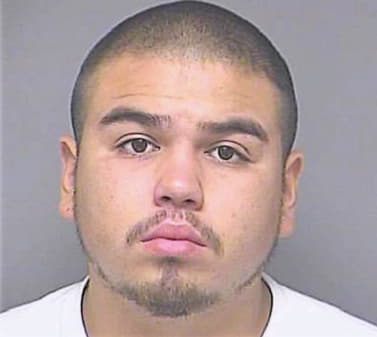 Torres Francisco - Denton County, TX 