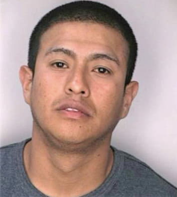 Guillendominguez Julio - Hillsborough County, FL 