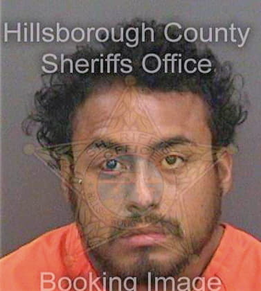 Hernandez Anastacio - Hillsborough County, FL 