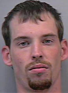 Robinson Brian - Gwinnett County, GA 