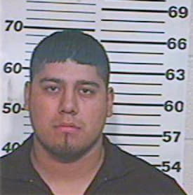 Hernandez Herman - Hidalgo County, TX 