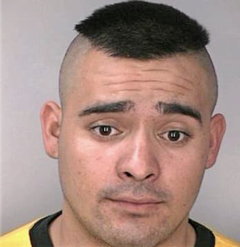 Ramirezgomez Jose - Hillsborough County, FL 