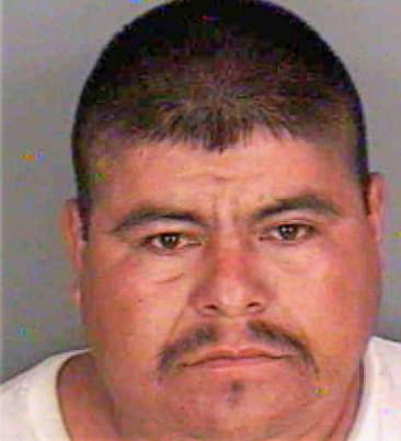 Martinez Neftali - Collier County, FL 