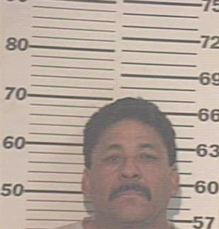 Mendoza Nicolas - Hidalgo County, TX 