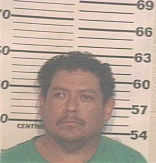 Almaraz Enrique - Hidalgo County, TX 