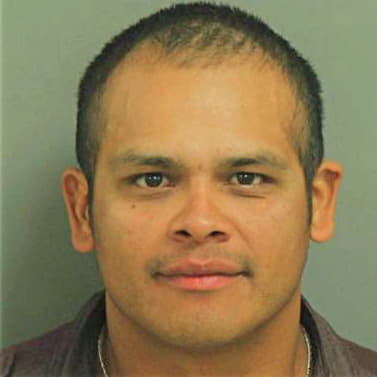 Mejia-Montes Epifanio - Wake County, NC 