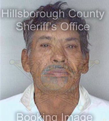 Gurrola Felipe - Hillsborough County, FL 