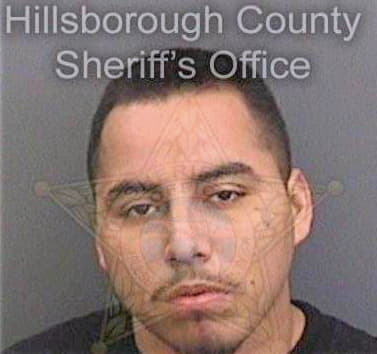 Martinez Juan - Hillsborough County, FL 