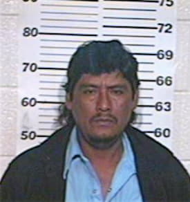 Arreola Simon - Hidalgo County, TX 